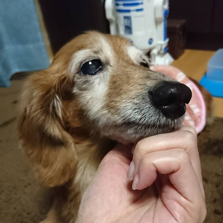 23a89bff 997f 47b4 8e27 69f1208e825b 1517304458923