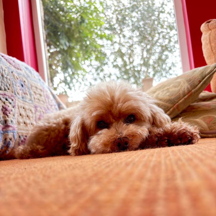 23a8b8c1 a214 4b10 a55b 710e4997f215 1758291223846