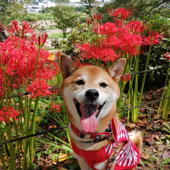 23a8c8e3 9346 4e52 badb 1a27bd8a20ad 1663323409777