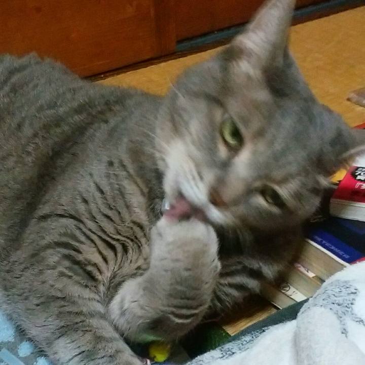 23a8d407 8c3e 4302 be7c 2286fad3ab1f 1530110361906