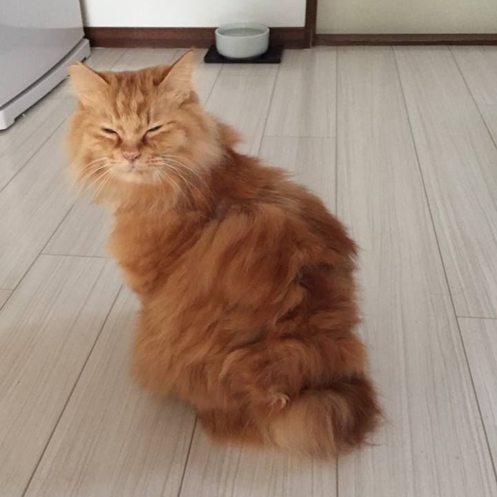 23a8e149 d7f1 41ce a14c d994cbcbb39e 1519435807333