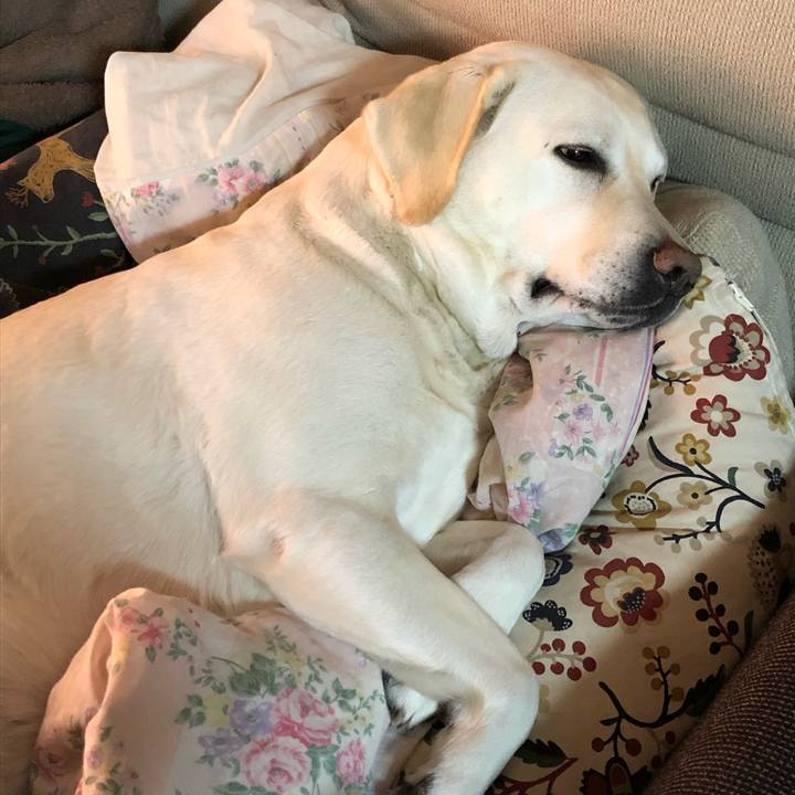 23a9094e 48d3 41c4 bd0e 7f1f782ba6cf 1645407889743