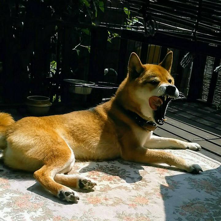 23a9159f 4a63 4682 97b2 07c7ba908d21 1564376270488