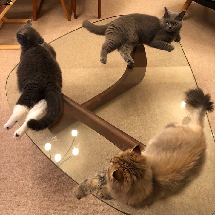 23a96fad 97d1 4921 82e8 b6406f96a787 1530193288932