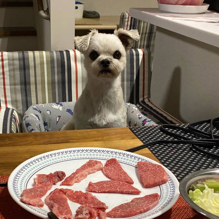 23a9dc5c 702d 4a10 a43a 3643fea4b432 1605272126776