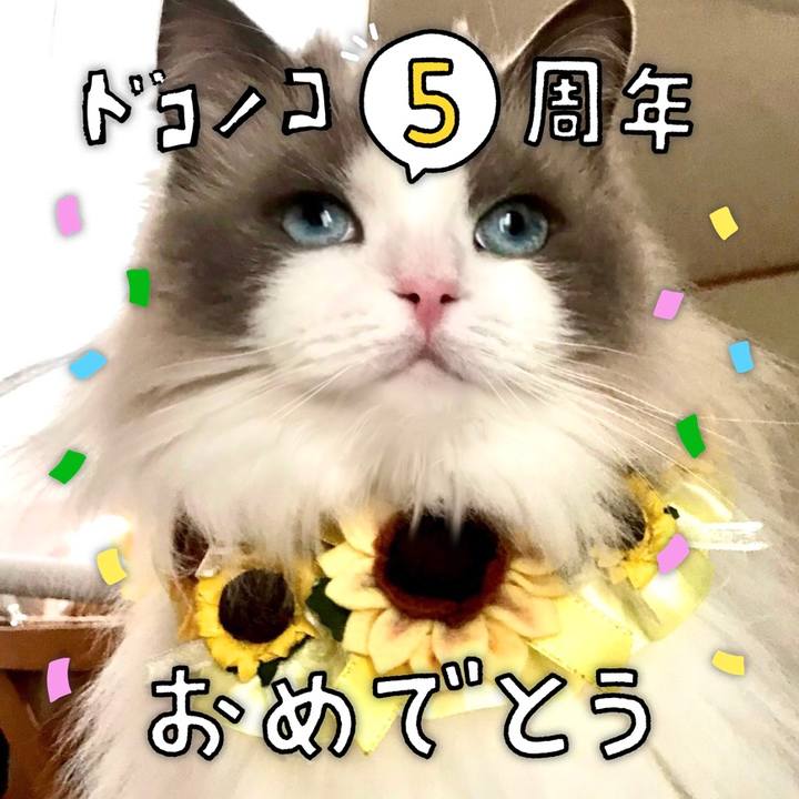 23a9e129 37d1 468e b1f2 d76c8809bfd1 1622987492118