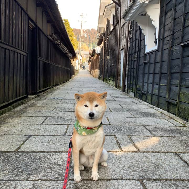 23a9e79b e1b1 468b 92d4 e322d72445b5 1612601555497