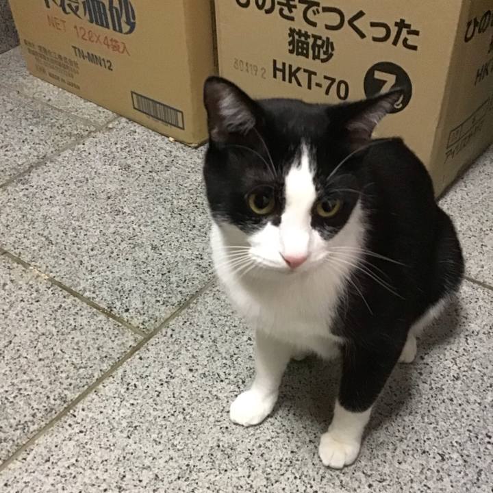 23a9f74e 4c30 4119 a5e7 fe1ee19cfeb7 1695899886376