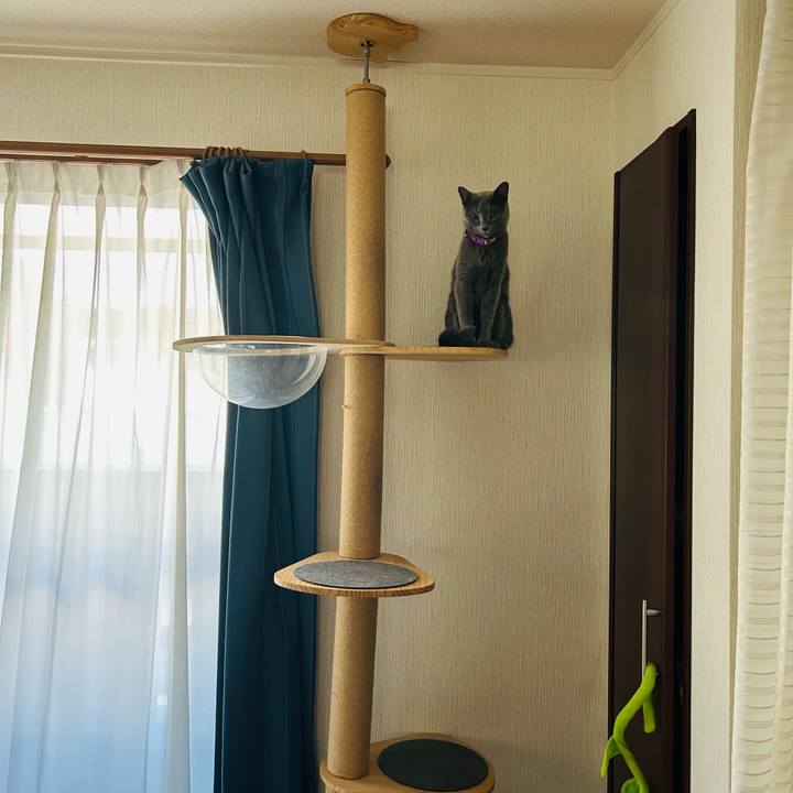 23a9fdac b2cd 4e41 8ea3 677224f9fce0 1759449473227