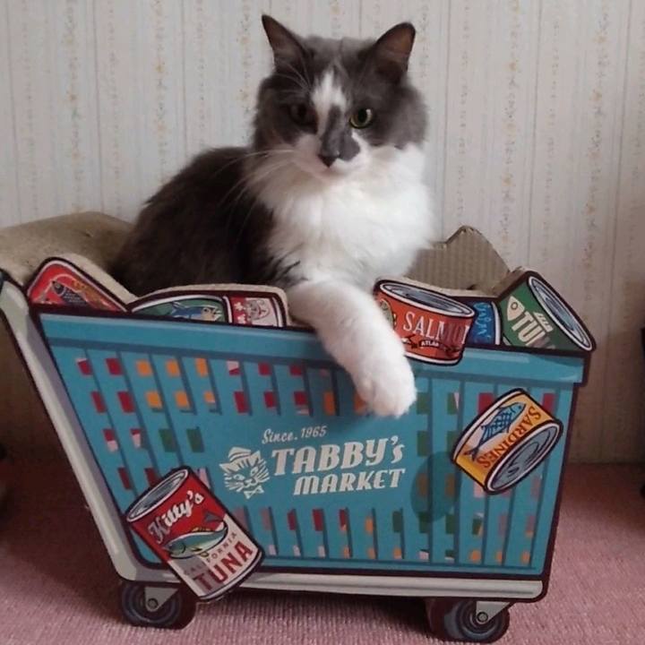 23aa26c7 9c85 4d5f 9251 c381f1bc9dd8 1665056889293