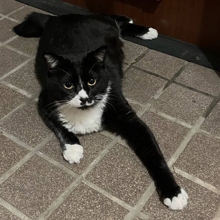 23aa2dfa 141e 4e1d a3ca 125f4a0b2782 1762412875024