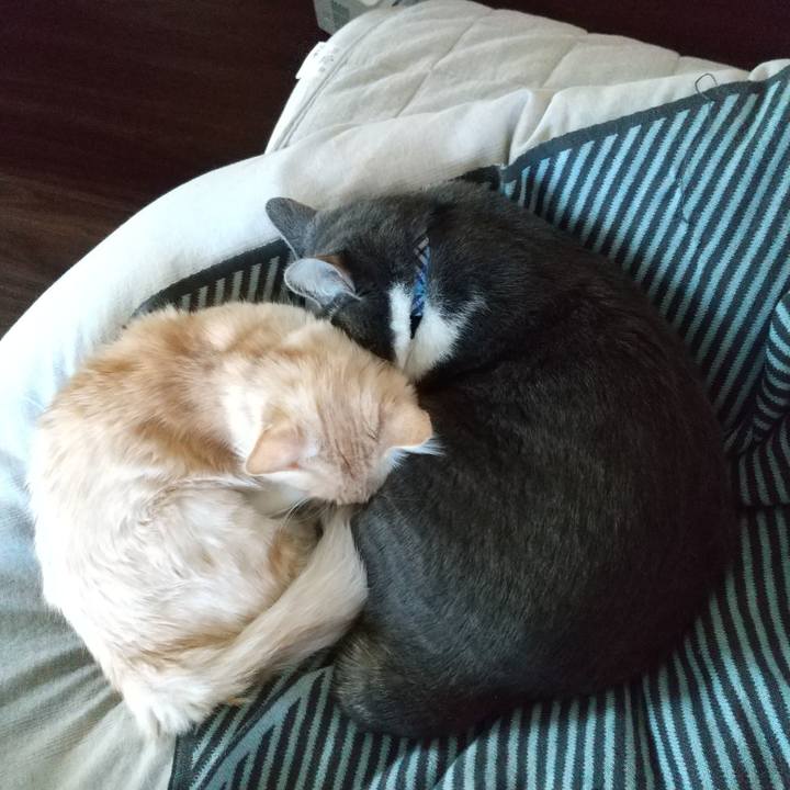 23aa78df b61a 4cea a198 a75d06017377 1613867401471