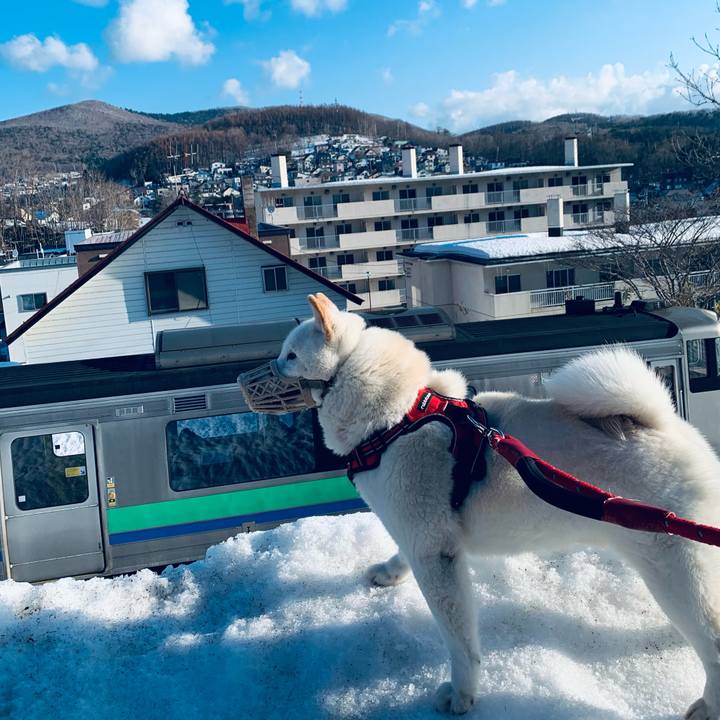 23aae490 806e 4cb6 99a8 2c45366e7b26 1679180625118