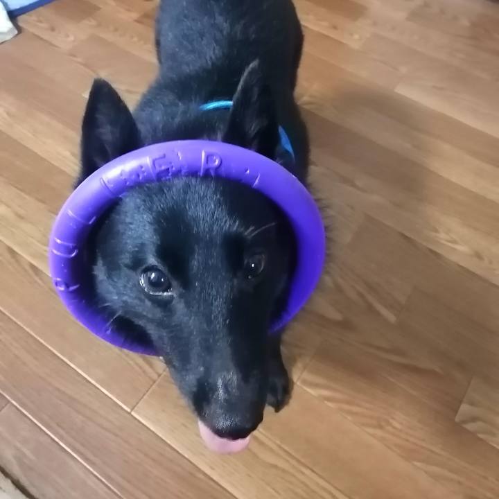 23aafbf6 d66c 4987 b26c d51daf45cb67 1624360057007