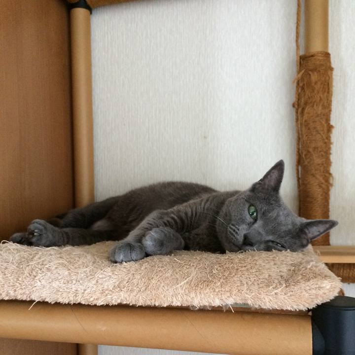 23ab739e 448f 4efb 8aa6 583455605851 1532830724799