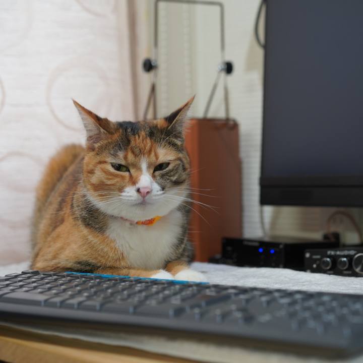 23ab7ed9 ce87 430d b71c 7c63a79f8ff5 1628257657230