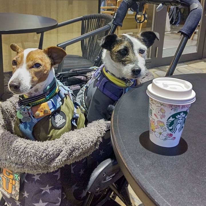 23abab49 7f1c 42f4 ac30 b5d0ec62a394 1708768048375