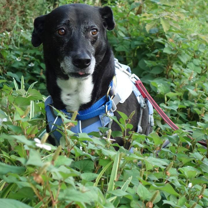 23abf00f 409c 4fc6 8d1e 9c77b8df7543 1750289961374