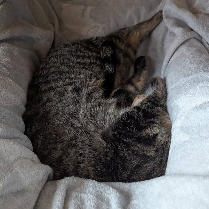 23abfdb3 0ccf 4363 9baa 32fcde68f826 1746773485419