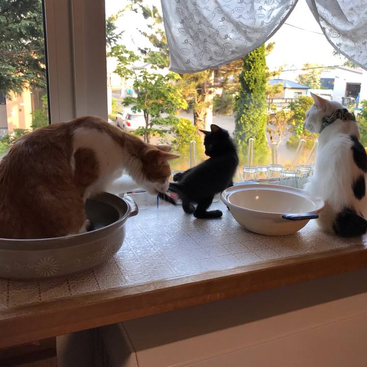 23ac0f00 2fe1 4628 9fbc ce3ba8b82f3c 1563721251671