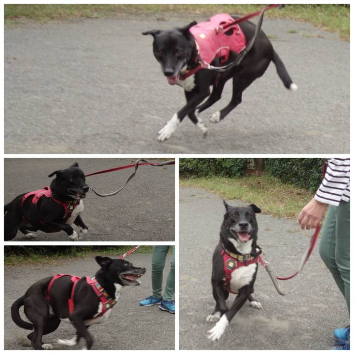 23ac1206 7e8b 4cca 9cea b651a0fc9928 1696728835023