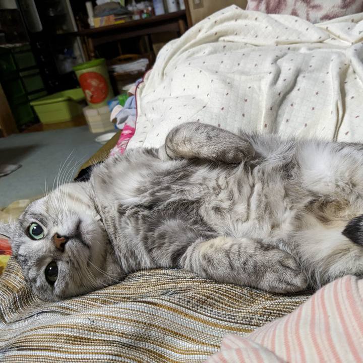 23ac4f50 70d6 457b a5fd ee175af35dae 1701442254233