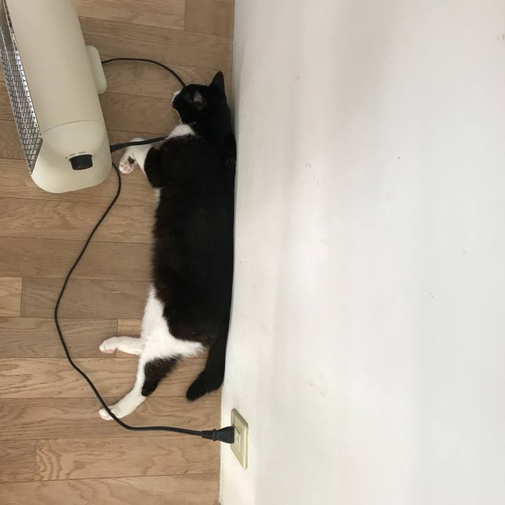 23ac7a39 6b00 418e 991f bac94792824f 1509361798444