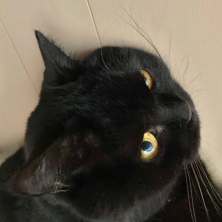 23ac8508 e41e 42a2 9dfb 6d27518152ad 1683266004439