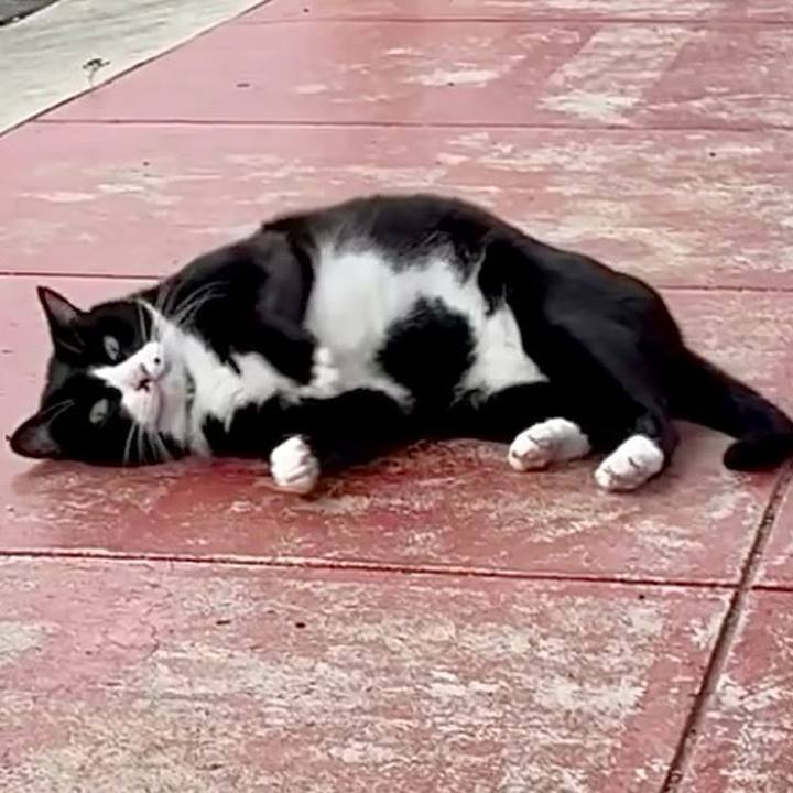 23acbb58 2807 4b4a 8312 dfa046026c97 1761466670764