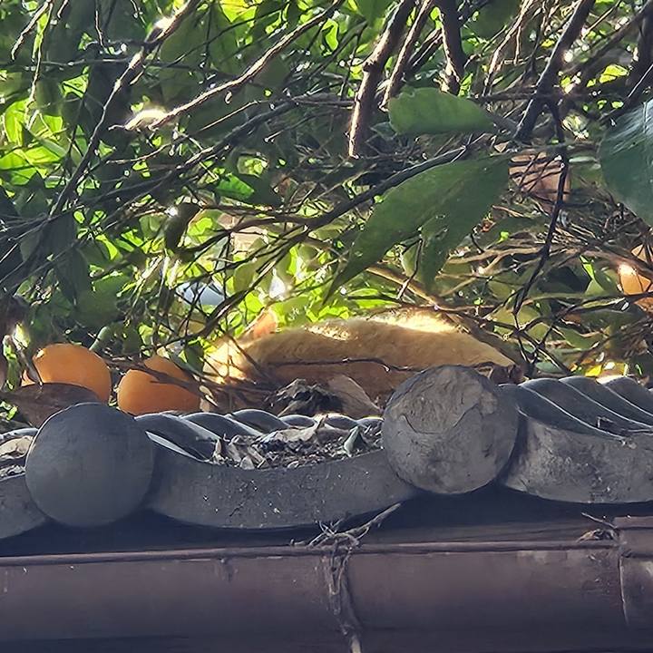 23acf548 4046 4a6d bed2 3f9490fd53ff 1740902830463