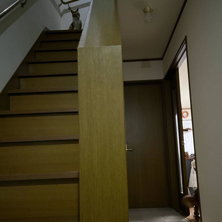 23acf5bf cb74 4a73 89dd 89c5334a615f 1710241723428