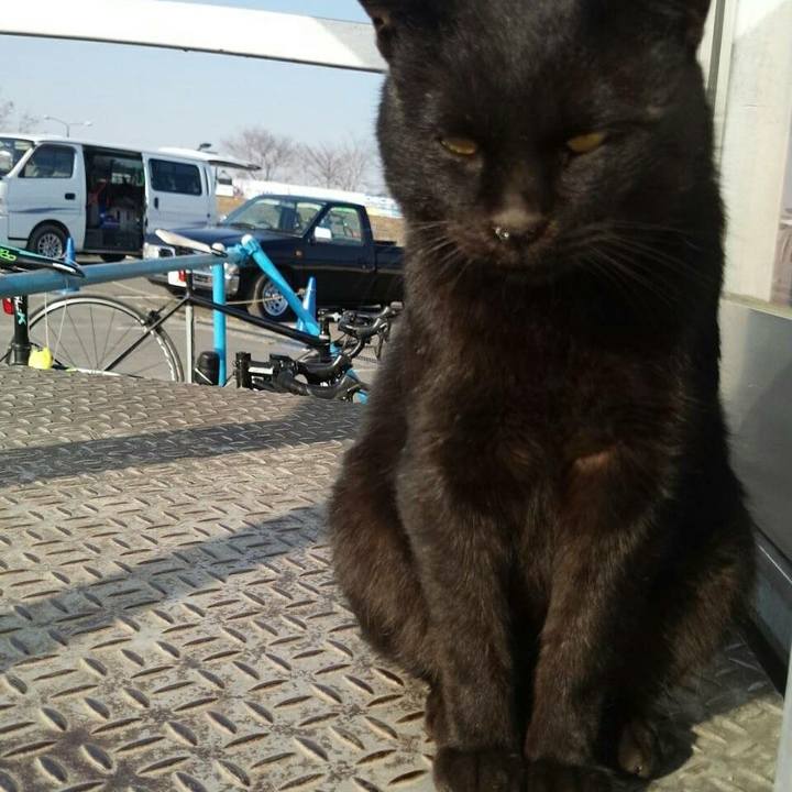 23acf7a0 6b2c 4db9 af1b c307f629f694 1519205962737