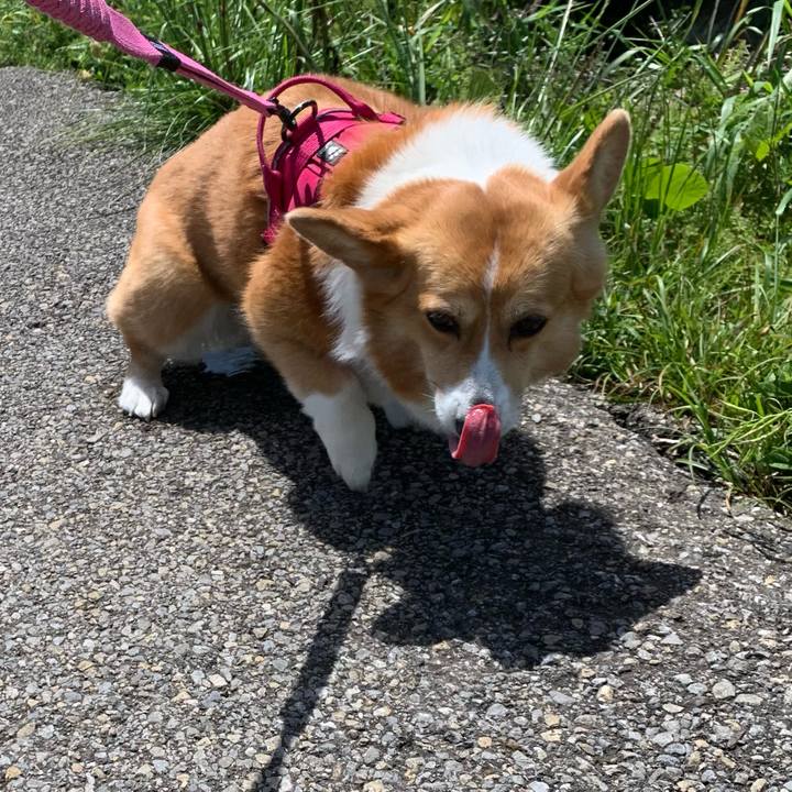 23ad1ac0 8d90 40eb b071 e03ebbc846be 1619753344064