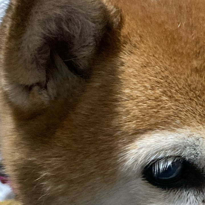 23ad20f7 e588 42dc b549 098b0b49f4a4 1721300976582