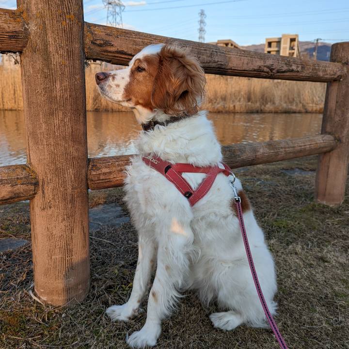 23ad281b 7d1d 4bea 8d8a d1d3edb467ed 1644233135541