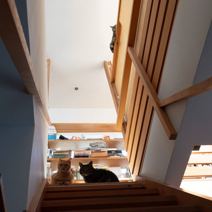 23ad30b2 292d 484d 927e 4ebf53a8d466 1771637607293