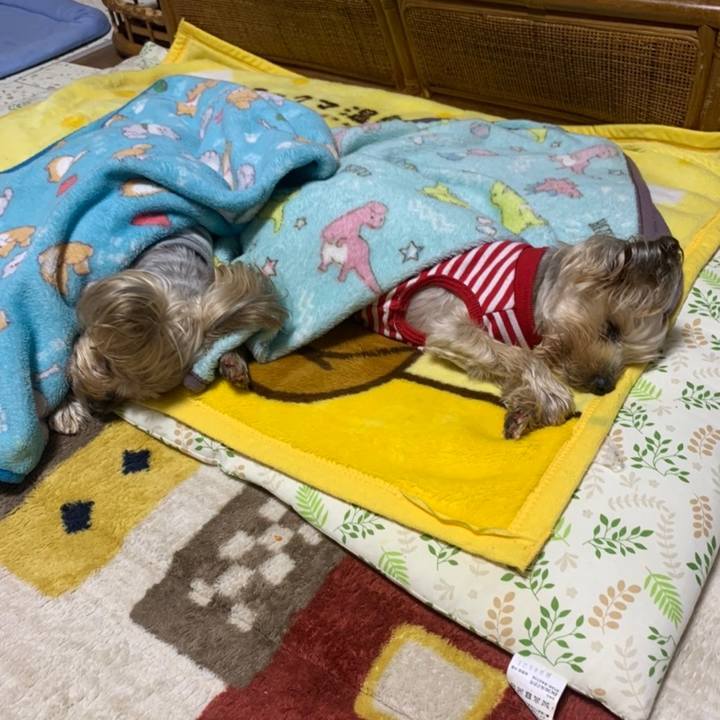 23ad94d8 9655 4b30 8e4a bea5c2663b11 1669630856057