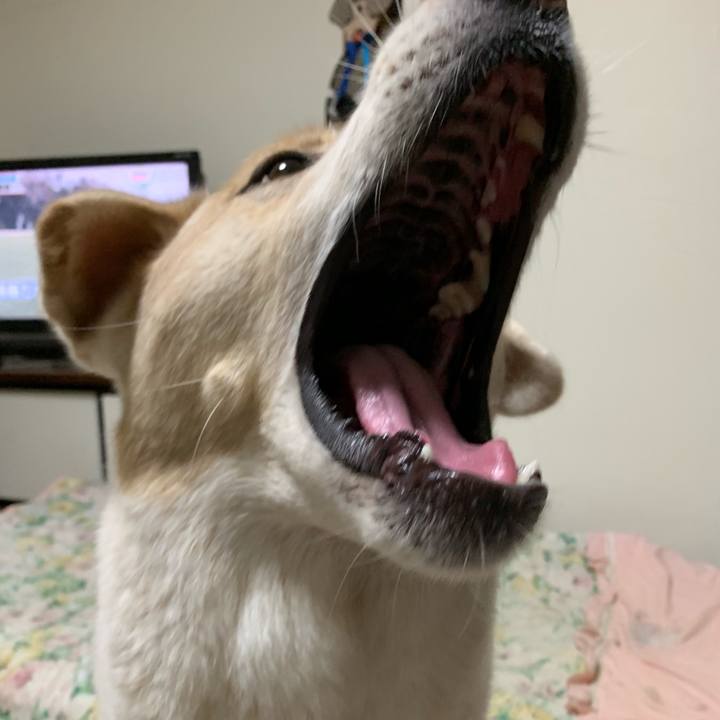 23ad9cc1 bead 4b03 b059 0da46dd647e3 1567772595715