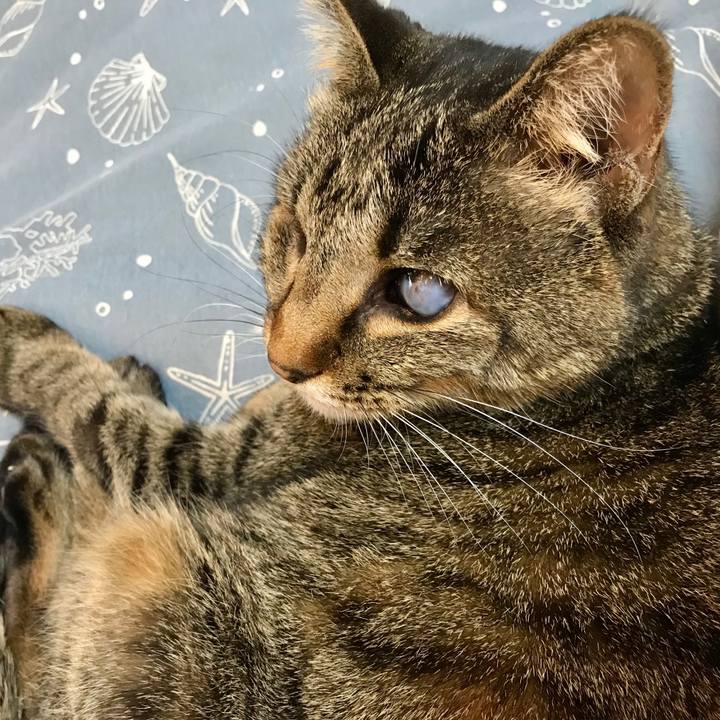 23adb7dd cda1 4497 89da 739e082ae409 1584949087967