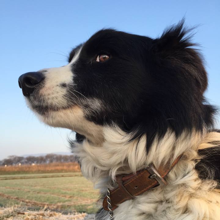 23adce7e bc8c 488c 9eb3 8e1042432153 1519684585088