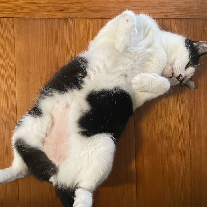 23addc73 599f 413e a8b1 58afc980cf70 1688954160537