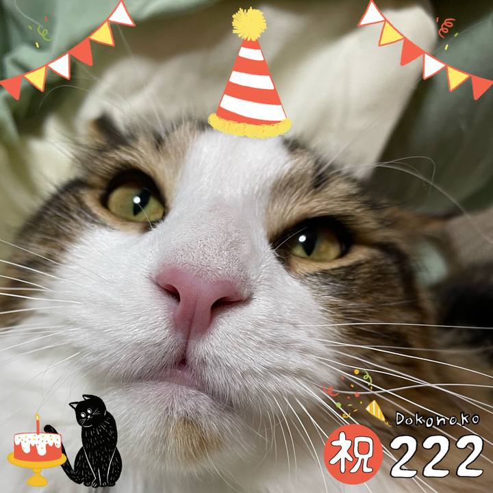 23adea90 a0a7 42c4 9b0b 89a86491ba17 1645536739338