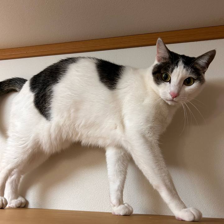 23adf53e dbde 4622 b4dc fd1e3b5db99a 1766230865197