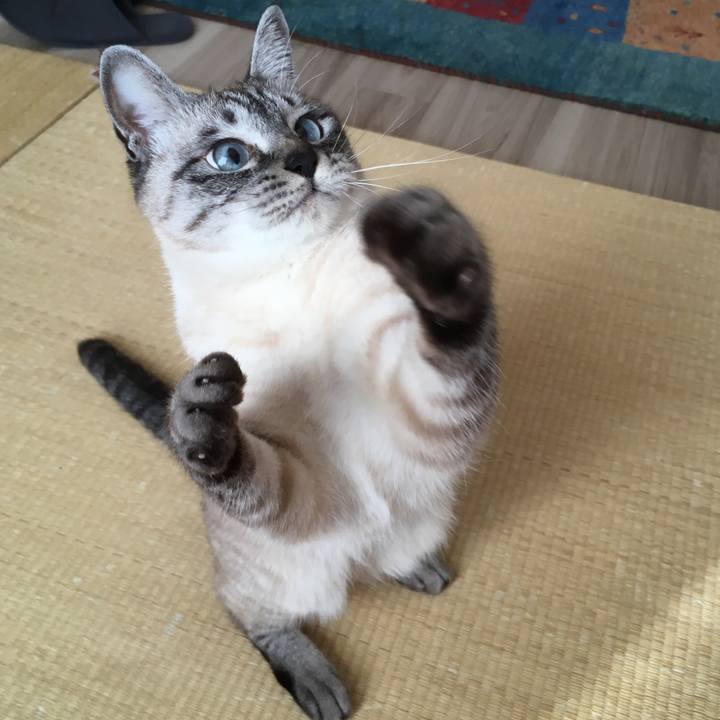 23ae54dd d2ff 42c1 93a8 eeaf4fd1ae8b 1583880662717