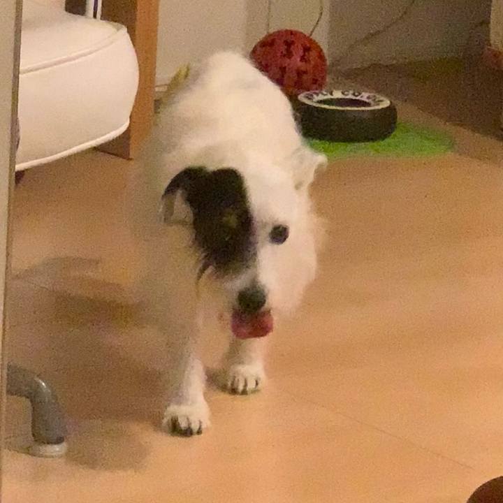 23ae86db 82c6 4892 b2e3 69e95ff9fe8c 1691490384189