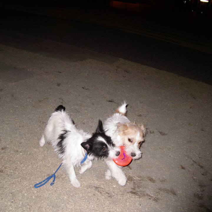 23ae8f25 60fa 4024 b57e 577330015b9b 1542197680519