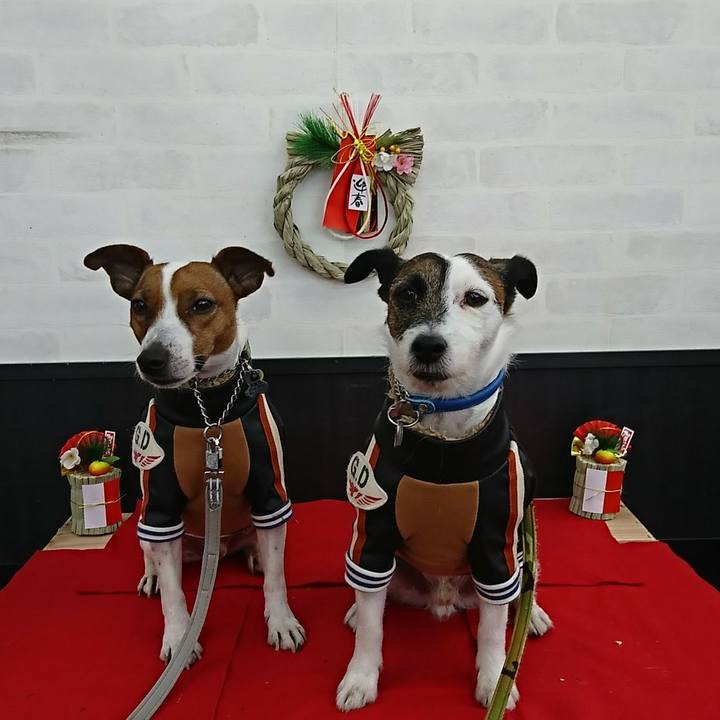 23aeb59c 4e52 4e8a 8d77 eafc9cfd9deb 1577808794881