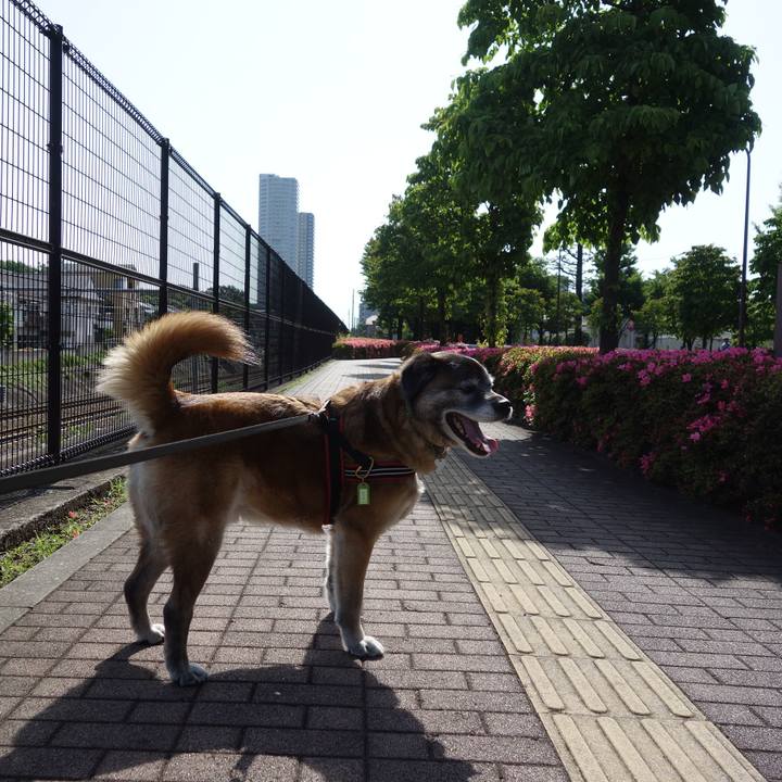 23aee8b9 09f8 47e3 9cad 2a1307574fae 1526346172385