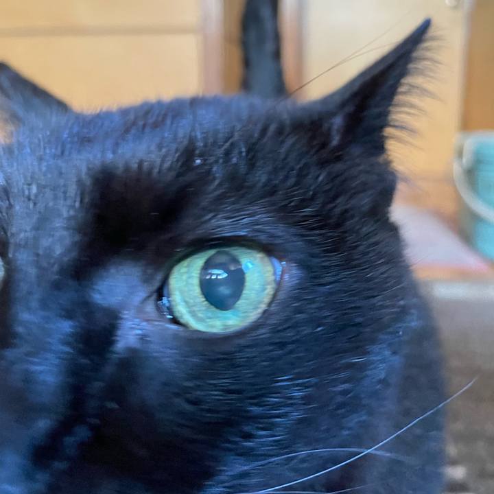 23aee9bf 9b4d 4a0e 953a e8a13c1f77a9 1650073539178