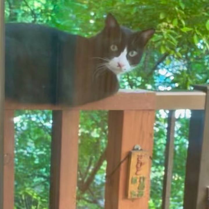 23af13fe 8a82 4c39 b37e 05d9ae4f0bc4 1751968358020